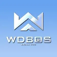 WDBOS - Tantangan Seru dalam Dunia Puzzle
